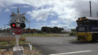 Private Level Crossing Unanderra NSW Australia [upl. by Harwilll]