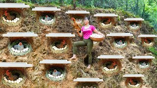 TIMELAPSE  30 Days Build Many Nest For Hens To Lay Egg  Harvest Chicken Egg Ducks Go To Sell [upl. by Lucinda]