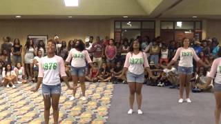 Kappa Upsilon Chapter of Alpha Kappa Alpha  Valdosta State University Yardshow 2013 pt 2 of 2 [upl. by Maryanne]