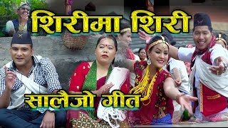 New Nepali song 2074 Shirima siri Salaijo by Bimal Pariyar amp Sharmila Gurung HD [upl. by Medora]