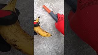 Gold coins Found in BANANAshorts ytshorts trendingshorts viralshorts [upl. by Divd]