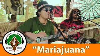 Mariajuana  by Bagani  Treehouse Sessions [upl. by Claud986]