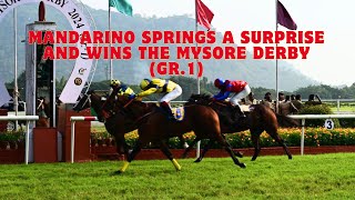 MANDARINO wins The Cubic Mysore Derby Gr1 [upl. by Kcirrem]