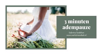 3 minuten adempauze  mindfulness  adempauze [upl. by Justis]