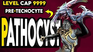 Glaive PATHOCYST Build for Level 9999  PreTechnocyte Warframe [upl. by Morrell]