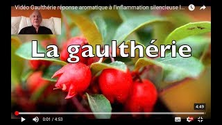 Vidéo LHE de Gaulthérie antidouleur et antiinflammatoire articulaire [upl. by Caesar]