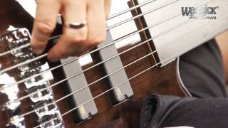 The Pro Series Streamer LX 6String Fretless  with Andy Irvine [upl. by Schaeffer]