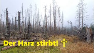 Der Harz stirbt [upl. by Electra]