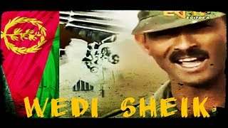 Eritrea  Wedi sheik ሳእሎባ   Eritrean Music 2017 [upl. by Hallagan170]