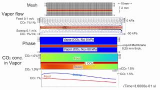 CFD Gas Separation by Liquid Membrane 2 VacuumSweep Mode [upl. by Griz]