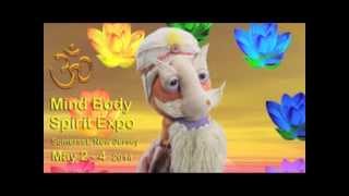 Mind Body Spirit Expo May 24 2014 Somerset New Jersey [upl. by Ynnor985]