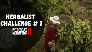 Herbalist Challenge 2 Guide  Red Dead Redemption 2 [upl. by Inahpets]