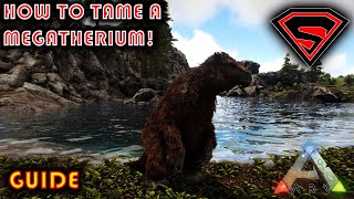 ARK HOW TO TAME A MEGATHERIUM 2020  EVERYTHING YOU NEED TO KNOW ABOUT TAMING A MEGATHERIUM [upl. by Alyekahs]