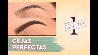 Como Maquillar las Cejas  Cejas Perfectas [upl. by Hyacinth]