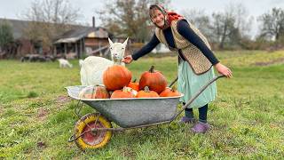 Autumn in the Countryside Grandparents Grandkids and Village Life [upl. by Reinert674]