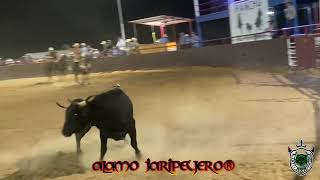 LOS AUSENTED DE CHAVISTA Vs quotORO NEGROquot DE JOSE SANTOS EN RANCHO EL POTOSINO DE AUSTIN TX 91424 [upl. by Oira]