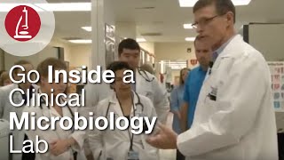 Go Inside a Clinical Microbiology Lab [upl. by Dacia]