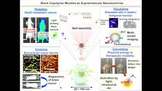 Block Copolymer Micelles as Smart Nanocarriers for Targeted Drug Delivery [upl. by Sperling]