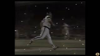 Greg Luzinskis Epic Rooftop Homerun 1984  Comiskey Park [upl. by Garibull]