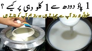 Low Budget Yogurt  How To Make Yogurt At home  Dahi Jamane Ka Sahi Tarika  Dahi Recipe [upl. by Moor]