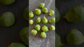 Brussels Sprouts recipe Indian style shorts cooking youtube food [upl. by Strader719]