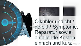 Ölkühler undicht  Kosten » Symptome » Reparatur [upl. by Aralc43]