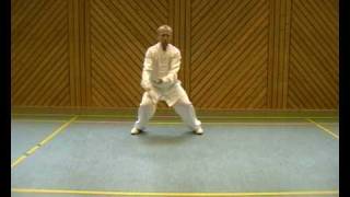 Taijiquan Yang 13 [upl. by Nilson]