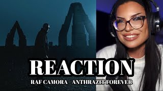 COMEBACK DES JAHRES 🐉 RAF Camora  ANTHRAZIT FOREVER  REACTION [upl. by Nairrot747]