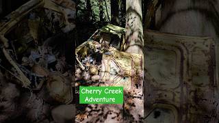 Cherry Creek Adventure pacificnorthwest hiking hikingwithkids hikingadventures kidsoutdoor [upl. by Dorcea]