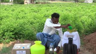 Soil Drenching with Biofertilizers and Biopesticides by ABF Biotech KISAN Hub farmer [upl. by Giaimo]