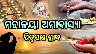 Mahalaya Amavasya  Pitru Paksha shradha  Mahalaya shradha [upl. by Akoek458]