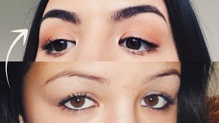 HOW TO GROW THICKER EYEBROWS NATURALLY amp FAST [upl. by Dominus]