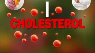 The Truth About High Cholesterol and Why It Will Never Kill You [upl. by Cryan688]