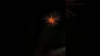 Sonny Blue chip sky shot crackers fireworks skyshot 2024 [upl. by Christy]