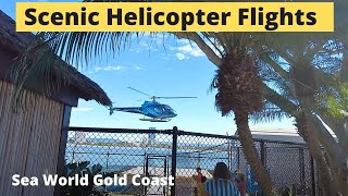 Scenic Helicopter Rides at Sea World  Gold Coast Australia 🇦🇺 [upl. by Bonnee]