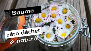 BAUME au macérât de pâquerettes fait maison DIY zéro déchet [upl. by Nereil]