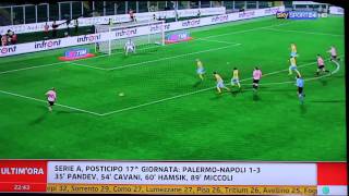 PalermoNapoli 13 SKY HD  Ampia Sintesi  Highlights  All Goals  Serie A 20112012 [upl. by Atteve]