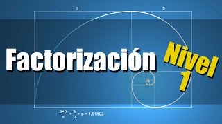 Factorización  Ejercicios Resueltos Nivel 1 [upl. by Yanej98]