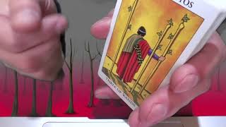 GEMINIS quotMES DE JUNIO 2024quot  HOROSCOPO HOY TAROT [upl. by Eiliak]