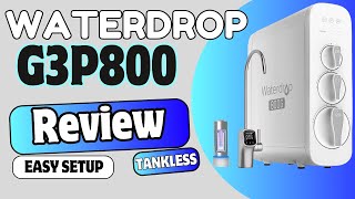 Easy Setup  Waterdrop G3P800 Tankless RO Filter [upl. by Rolat677]