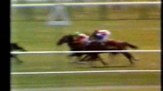 Show Gate NZ 1977 Trentham Stakes [upl. by Azne559]