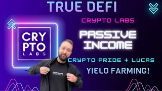 AMA WITH CRYPTO LABS COME FIND OUT HOW TO GET STARTED IN TRUE DEFI passive passiveincome crypto [upl. by Lonni786]