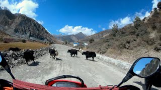 Road to Manang  Nepal  Honda CRF 250L  Hero XPULSE 200 4V [upl. by Githens2]