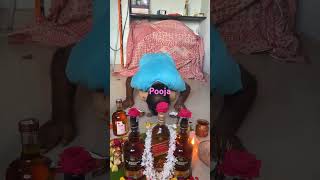 Whisky puja whiskey wine blenderspride redlabel reels shorts viralvideo viralshorts [upl. by Minor]