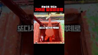 촛농으로 할로윈 유령을 만들어보자 [upl. by Helmut]