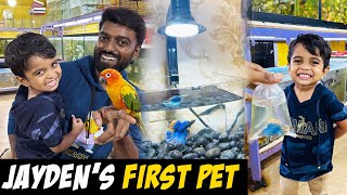 First Vlog with Jayden 👦 He Got his New Beta Fish Aquarium  DAN JR VLOGS [upl. by Akirehs]