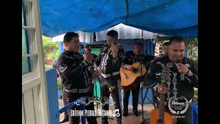 Mariachi Herencia De Villa  Grítenme Piedras Del Campo [upl. by Ahrens346]