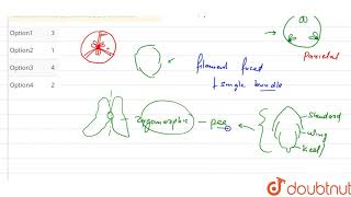 Read the following statements and find out the incorrect statement a Mustard has hypogynous [upl. by Yesnel]