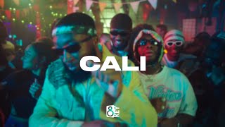 FREE NSG x Swarmz x Afroswing Type Beat  “Cali“  UK Afroswing Instrumental 2024 [upl. by Eldwon738]