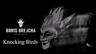 Boris Brejcha  Knocking Birds Unreleased [upl. by Dang172]